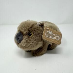 Lil Friends Wombat by Korimco 8" Long Plush Stuffed Animal Australian Marsupial